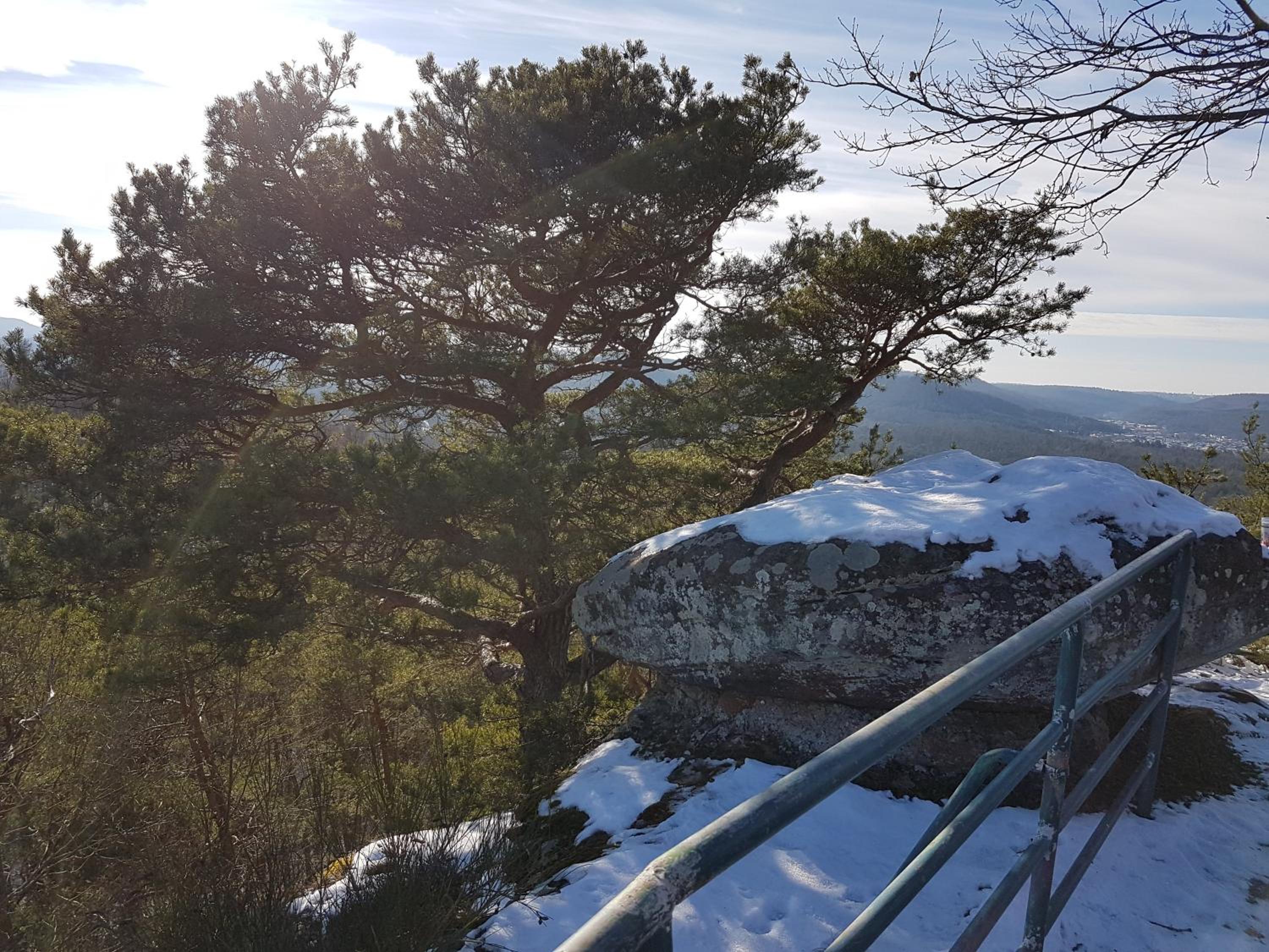 Ferienwohnung Waldliebe Hinterweidenthal