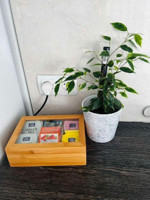 Classic Modern Apartment with Parking Place