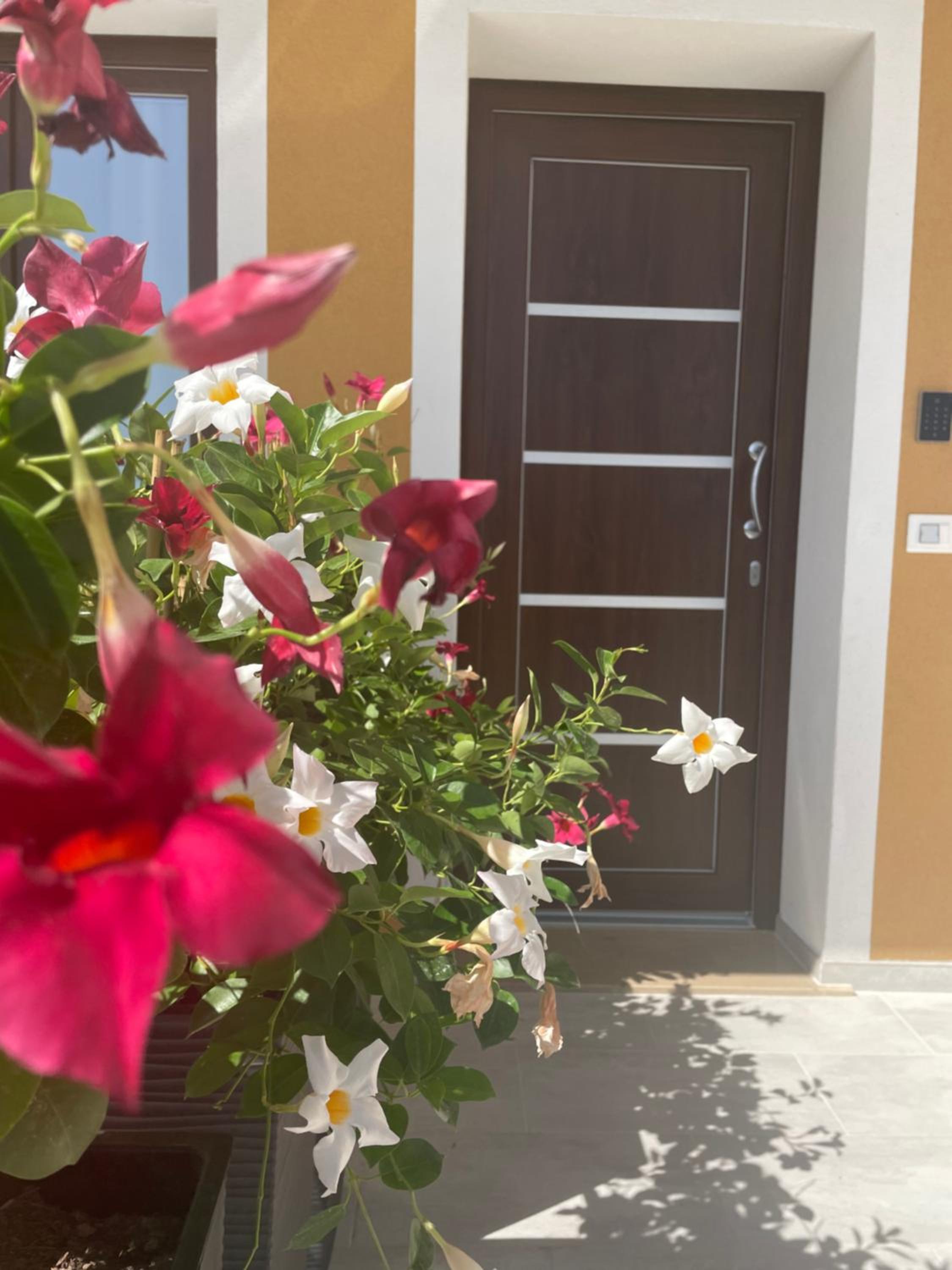 B&B MargAni Tropea view 5