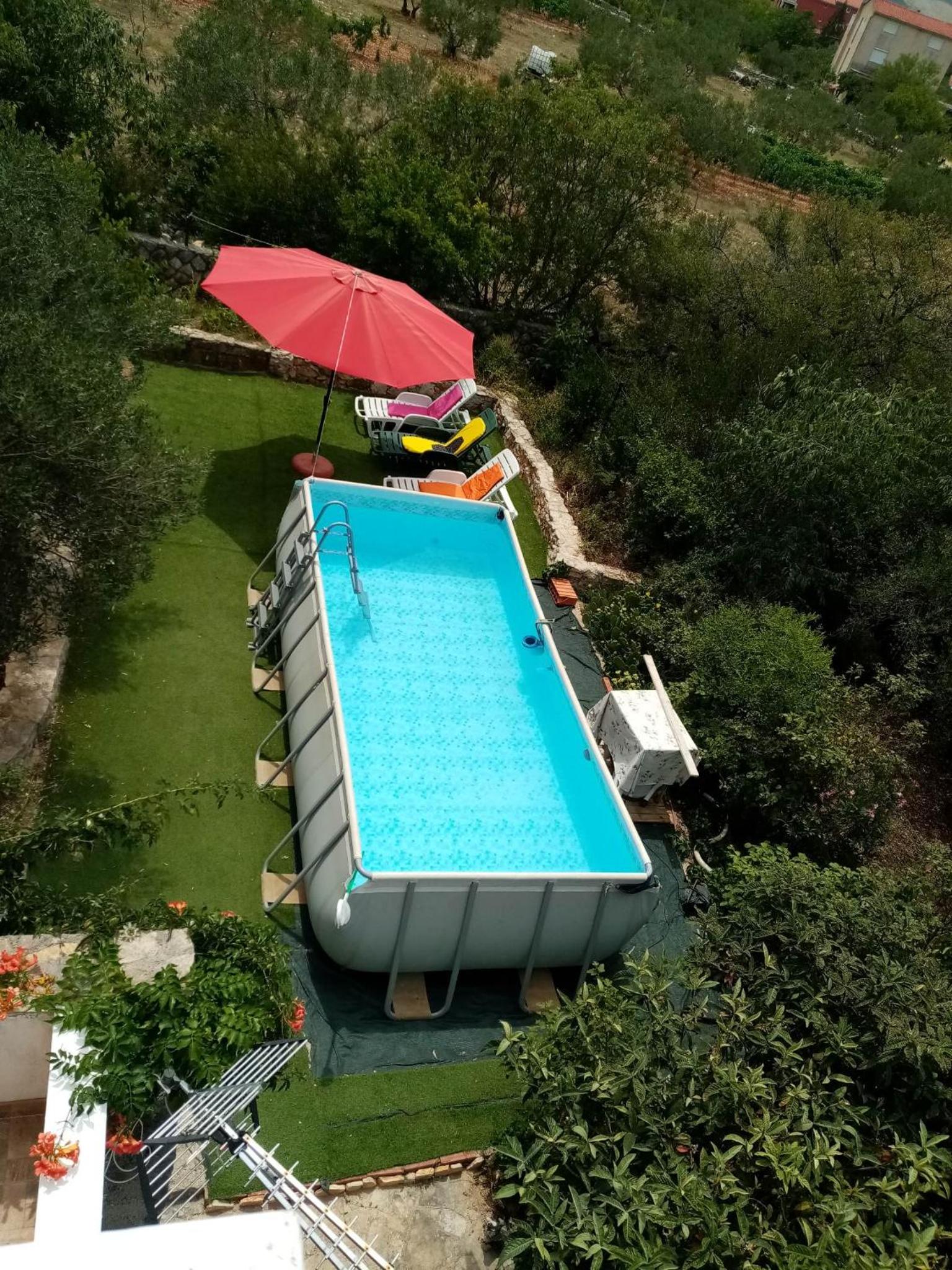 Dalmatian view 5