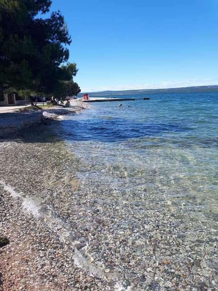 Dalmatian view 3