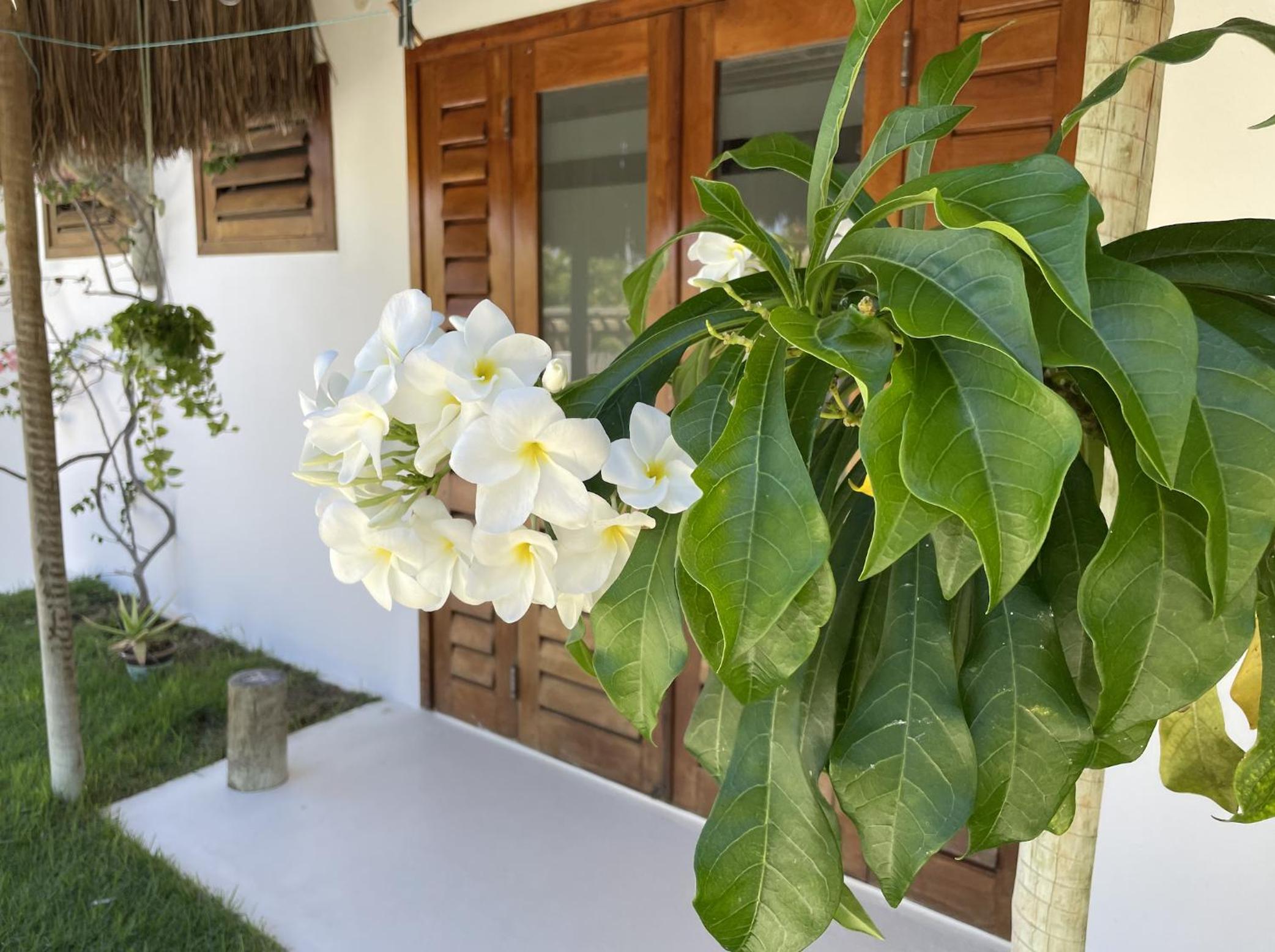 Villa Caribou