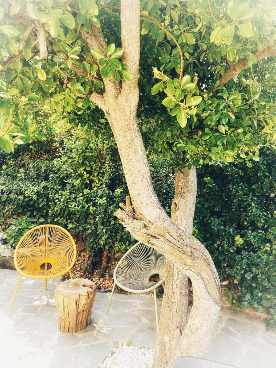 Photo 51