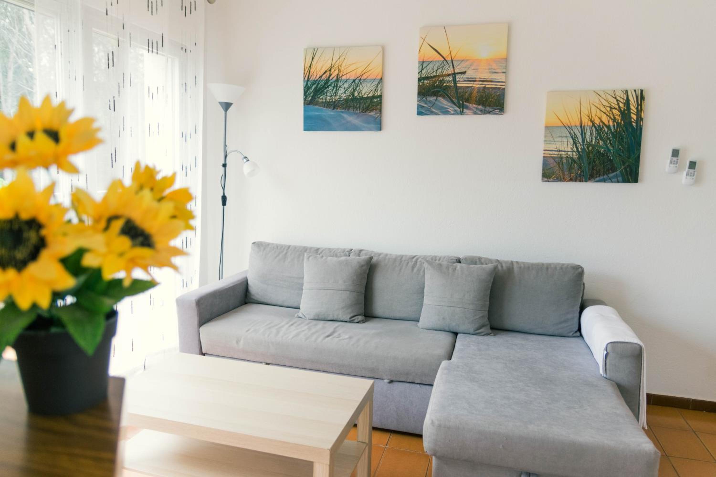 Apartaments Falcó