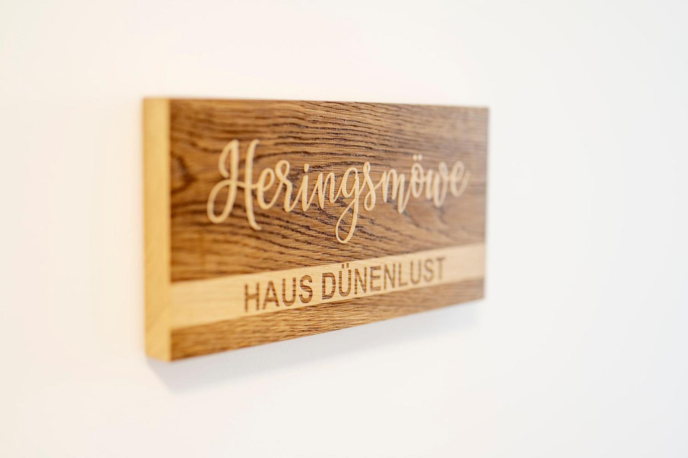 Heringsmöwe-in-der-DÜNENLUST