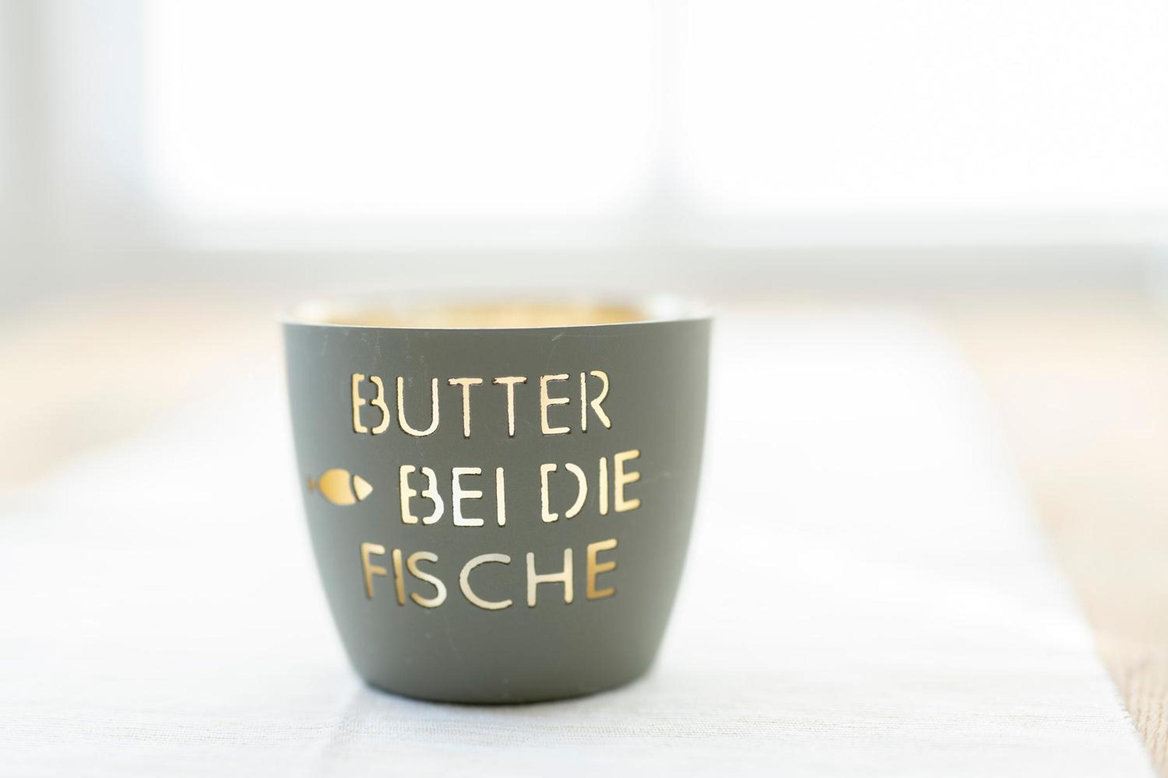 Heringsmöwe-in-der-DÜNENLUST