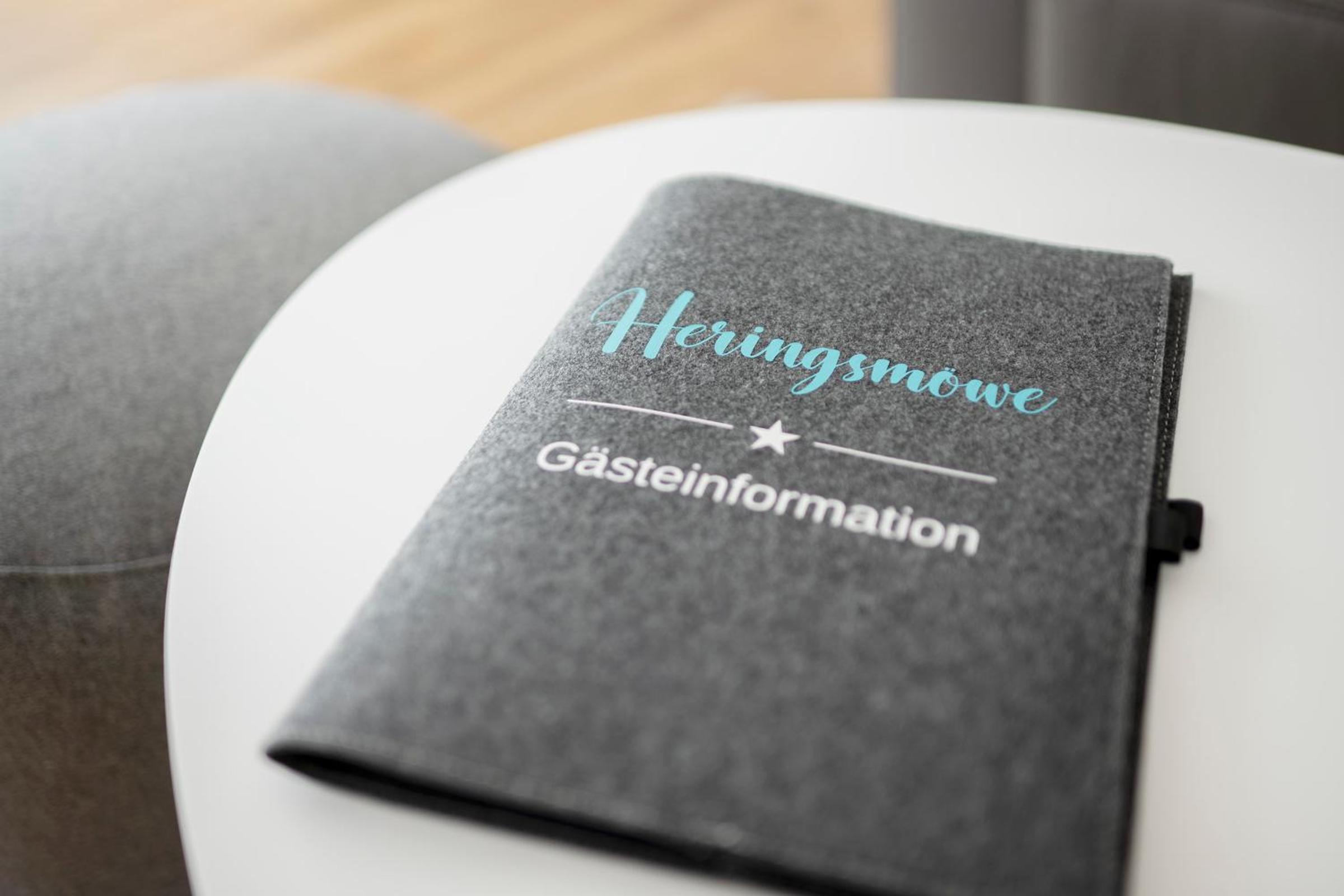Heringsmöwe-in-der-DÜNENLUST