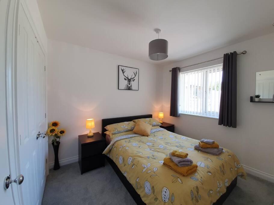 Modern, self-contained annexe in the countryside view 3
