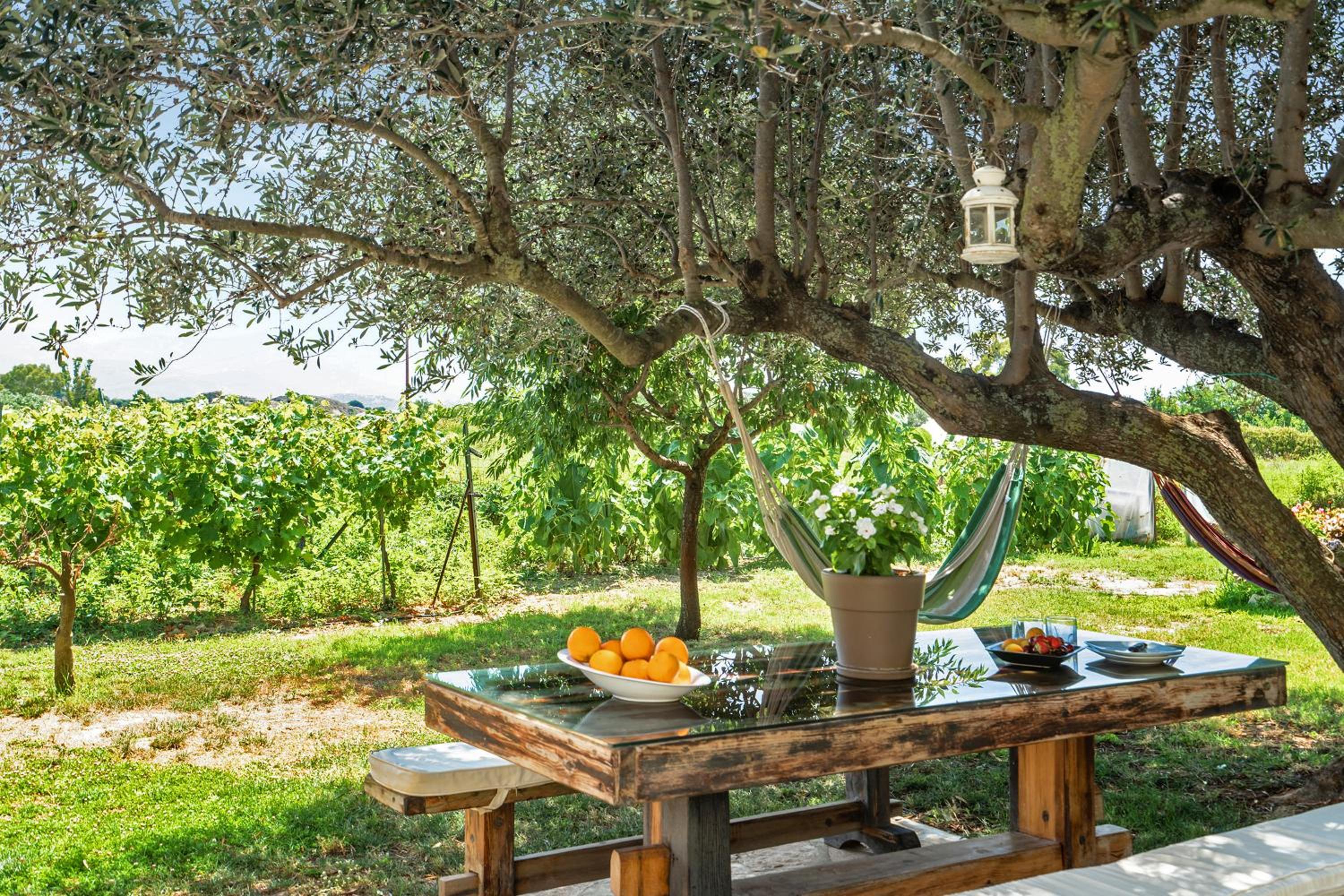 Ktima Dilberaki en Lixouri — activities & amenities