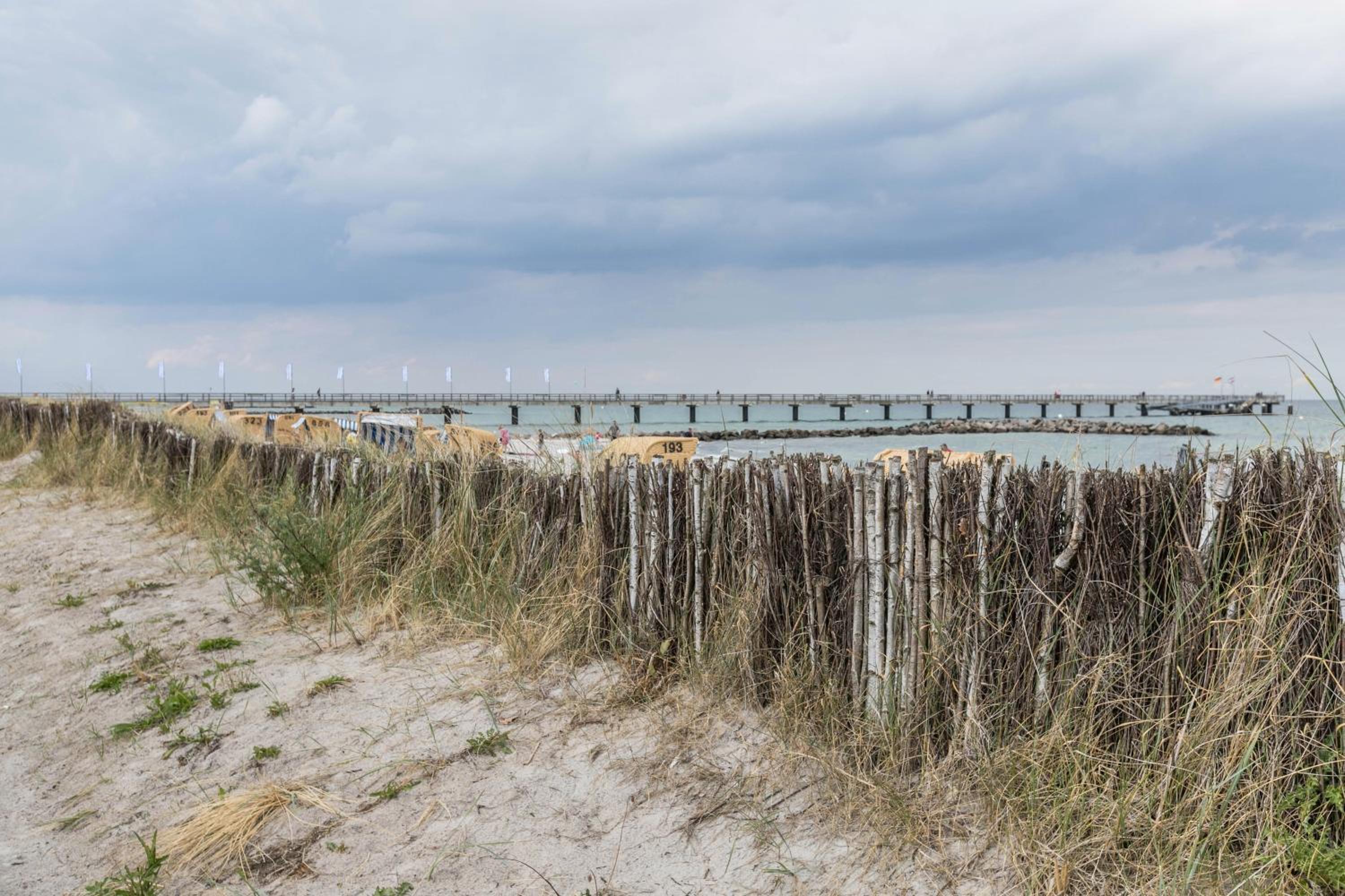 Treibholz - Feriendomizil Ostsee