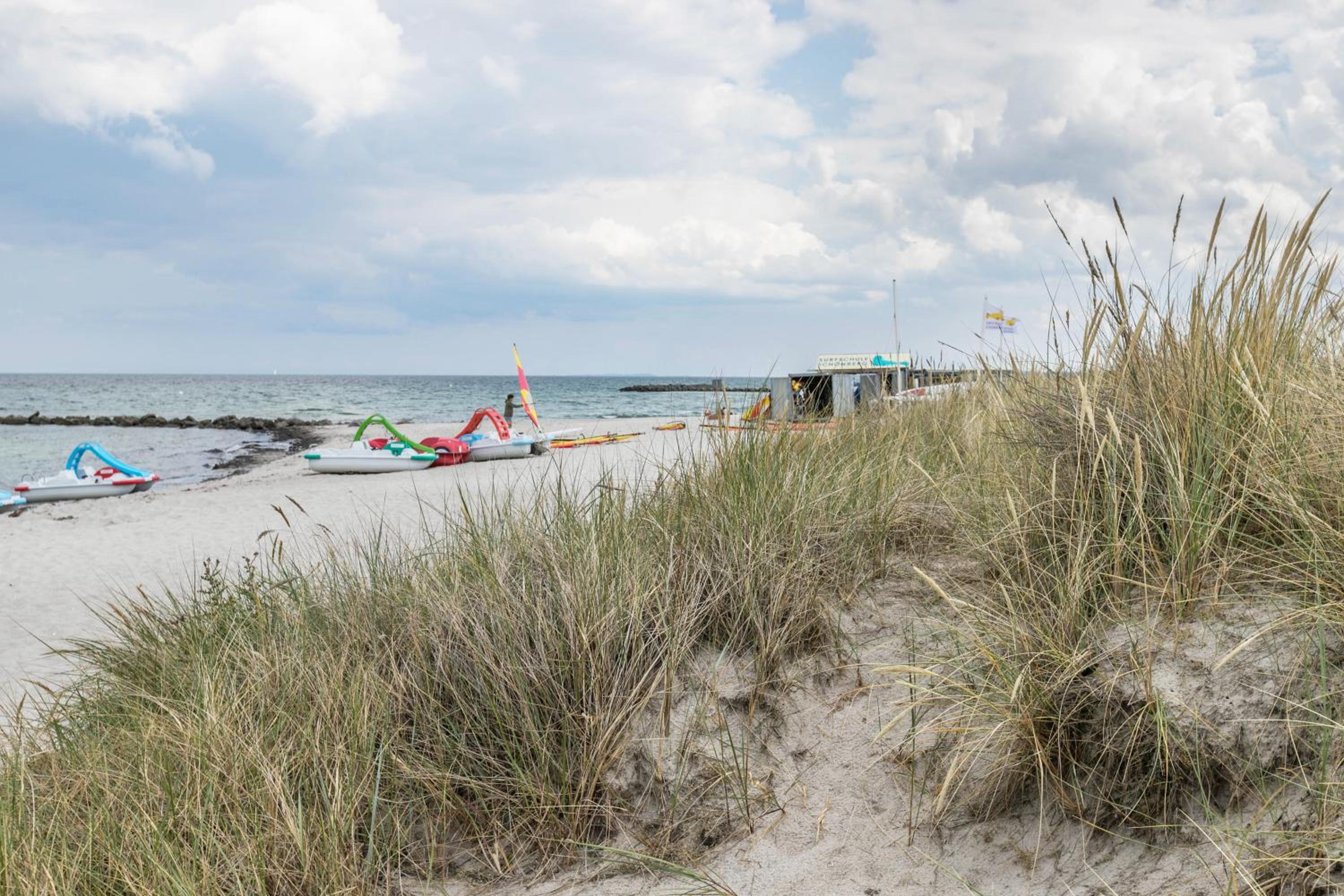 Treibholz - Feriendomizil Ostsee