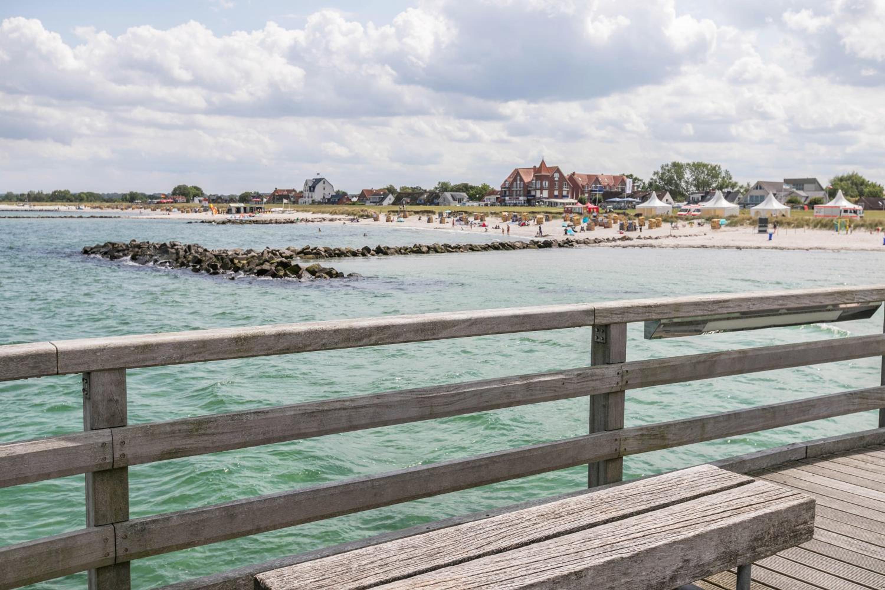 Treibholz - Feriendomizil Ostsee