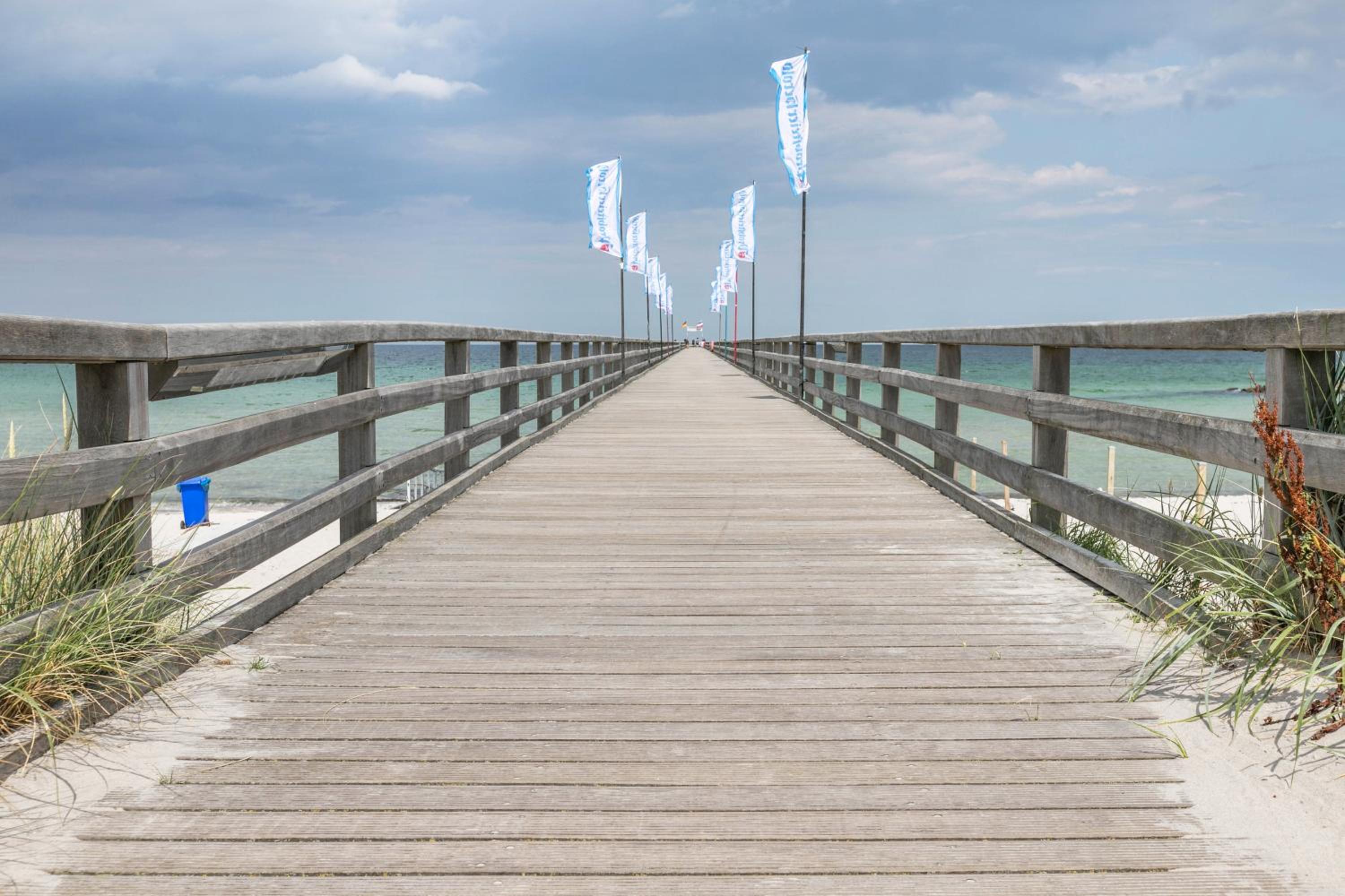 Treibholz - Feriendomizil Ostsee