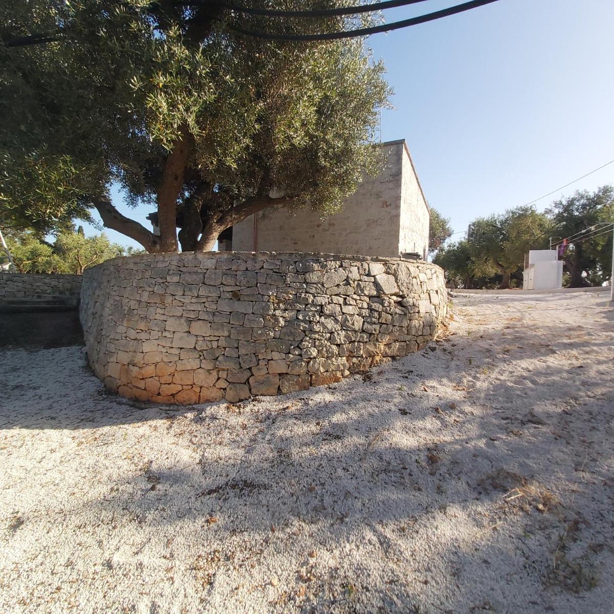 Photo 45
