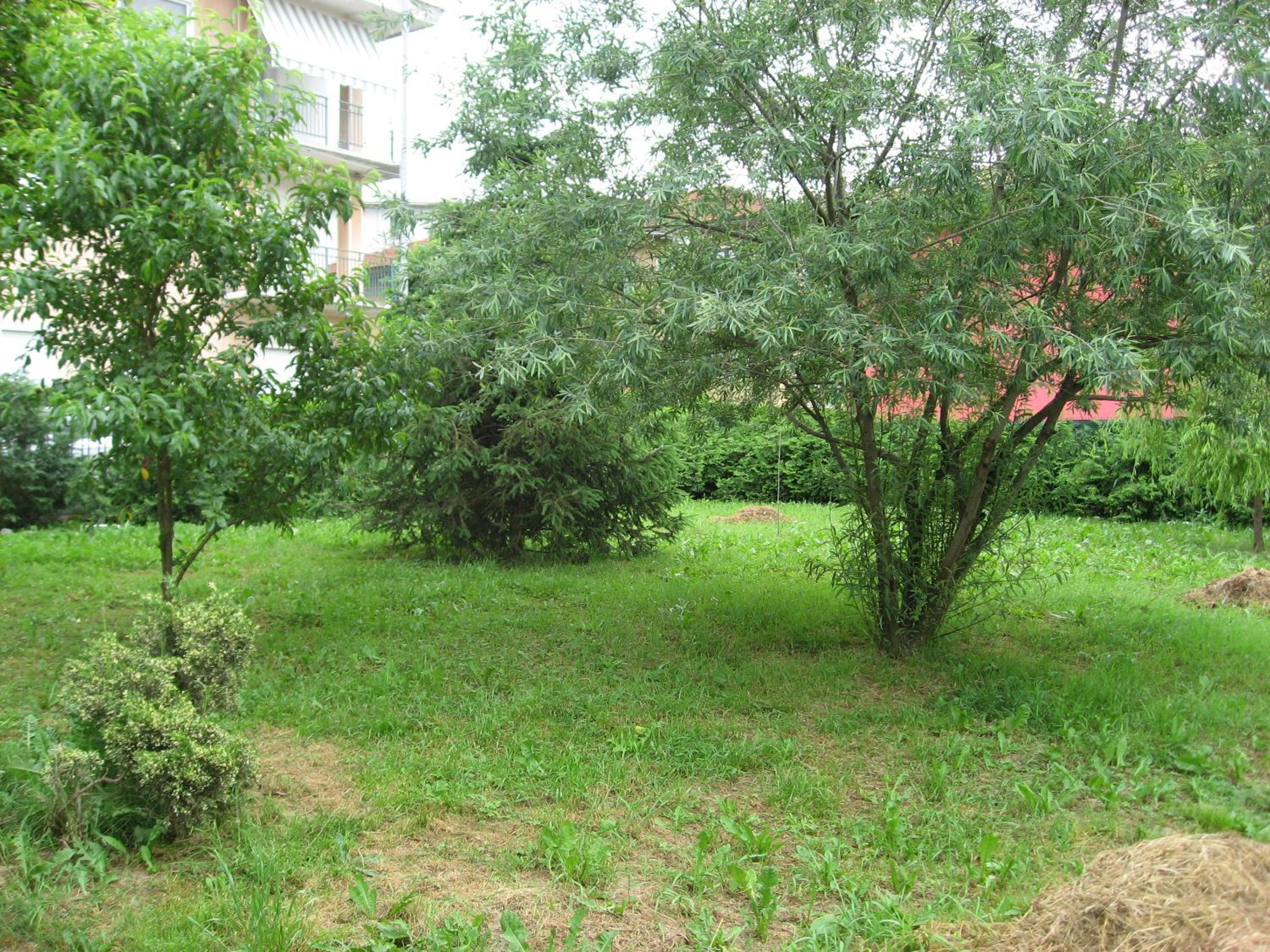 Photo 32