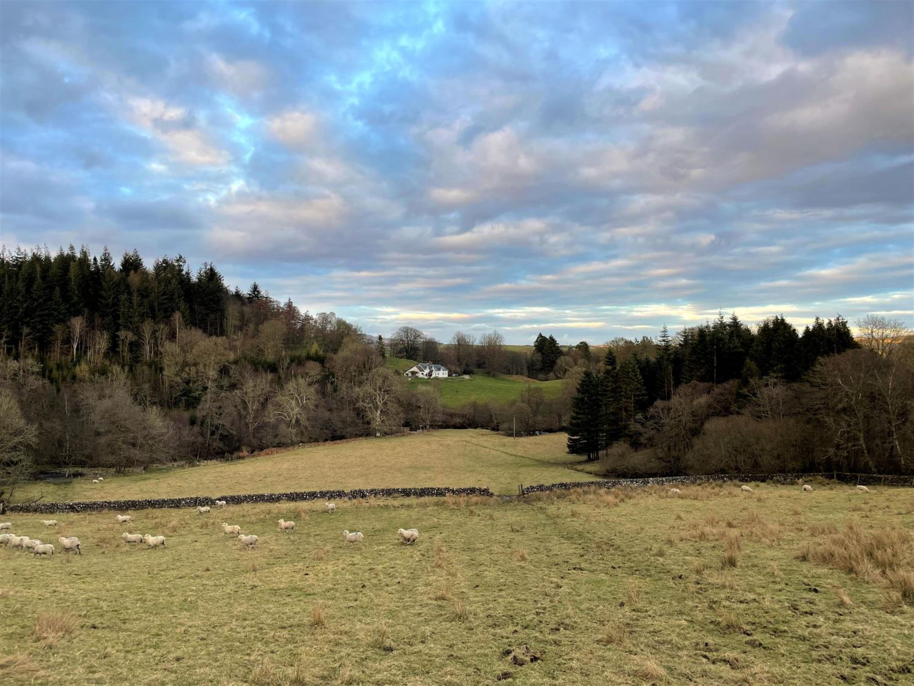 Kenmure Kennels