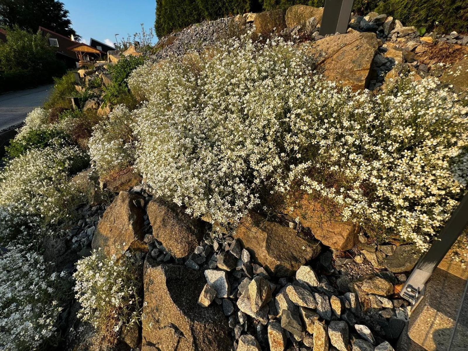 Chalet Panorama