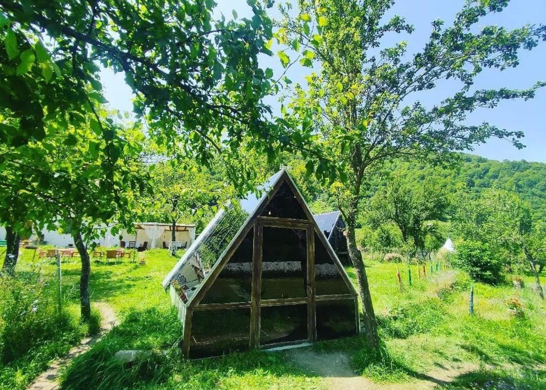 UNDER STARS HOUSE