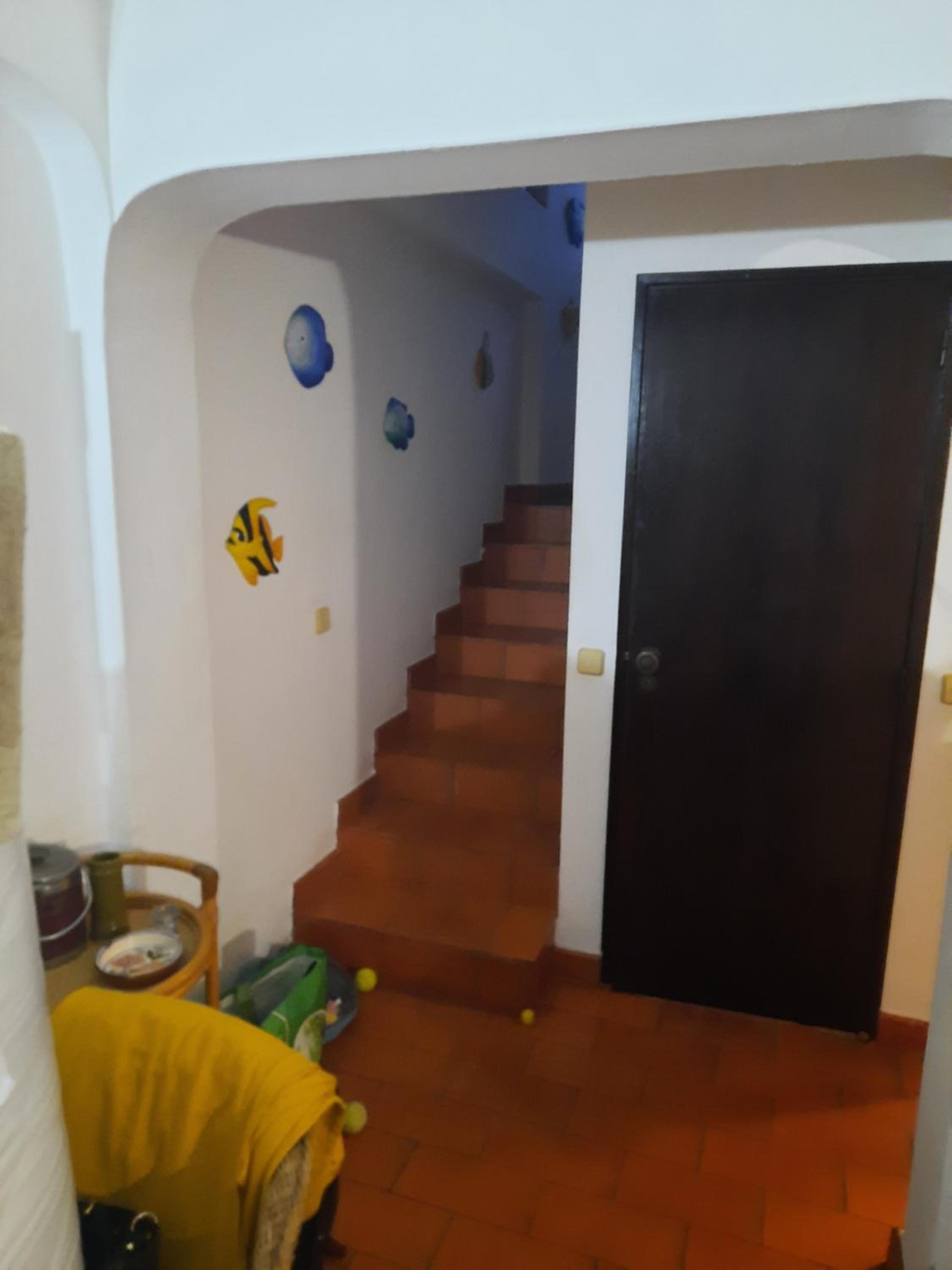 Photo 51