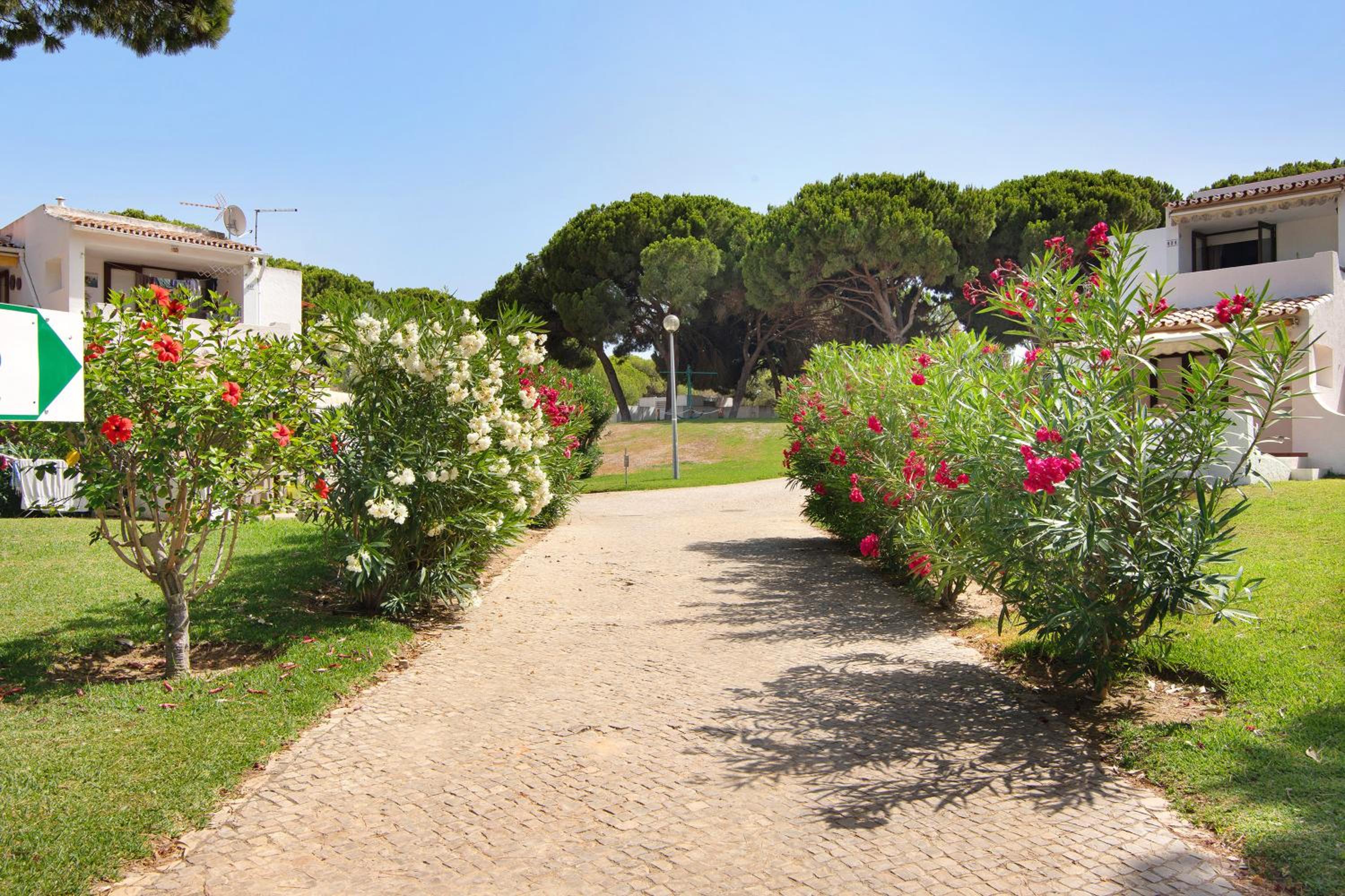 Aldeia das açoteias view 2