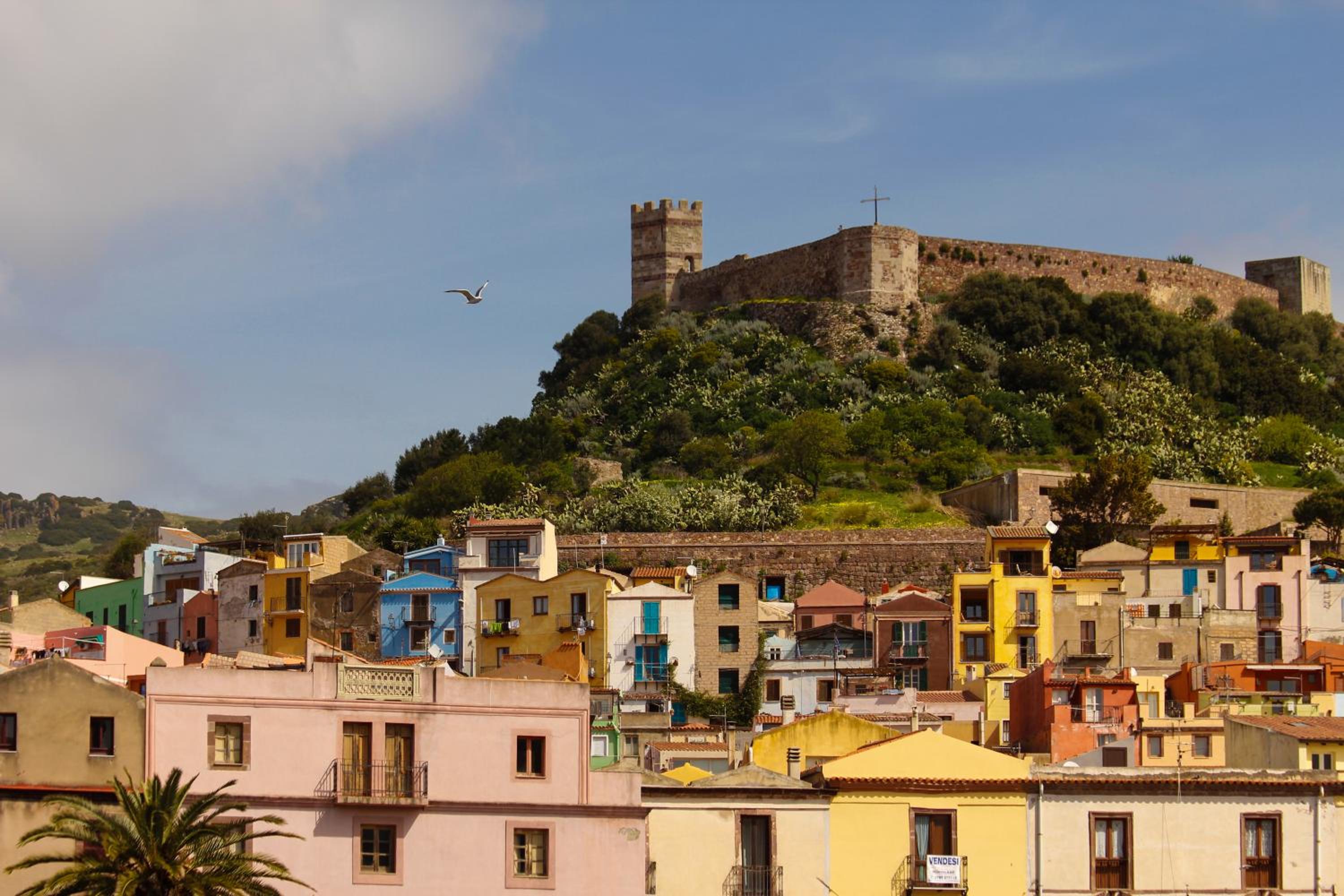 Sardinian Gallery Corso