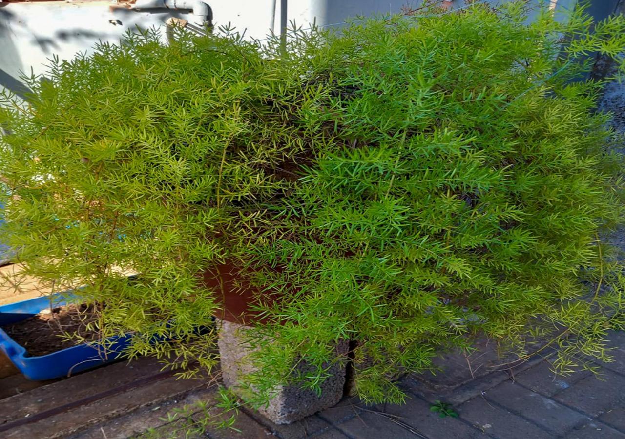Photo 36