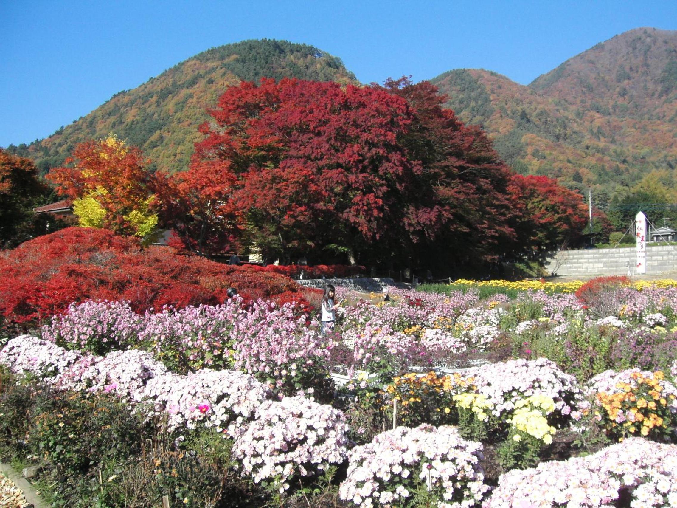 Fujikawaguchiko Crescendo