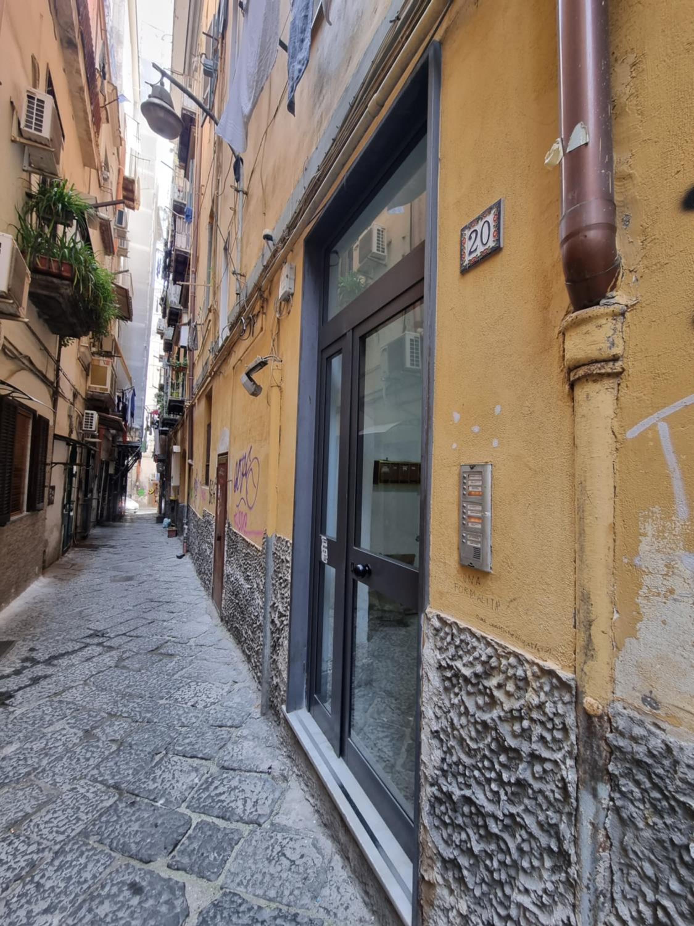 La casa del Professore