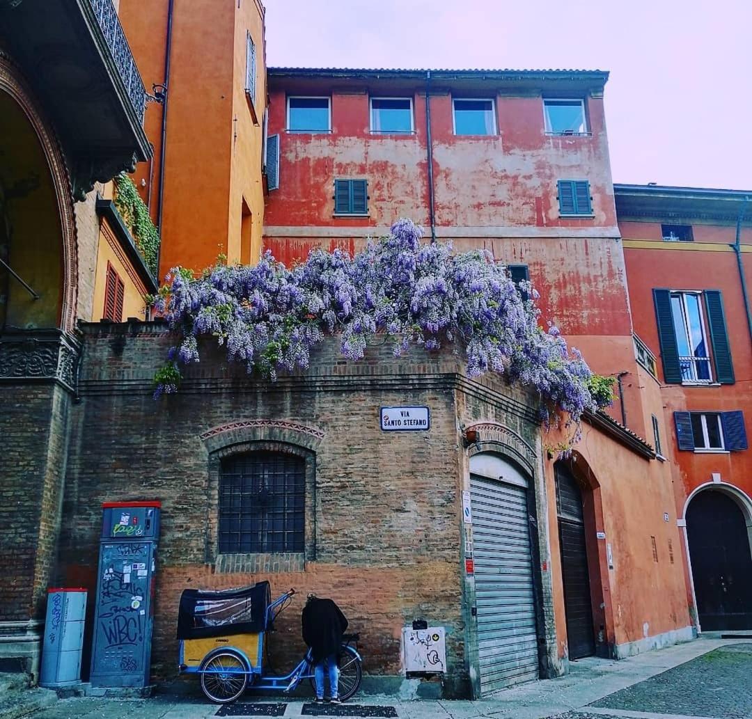 Casa Bonita, appartamento nel cuore di Bologna view 3