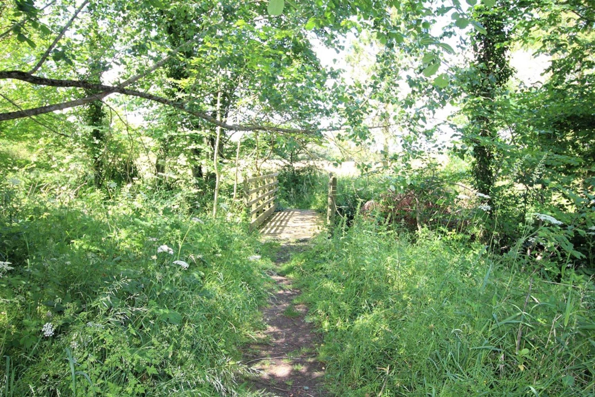 Photo 31