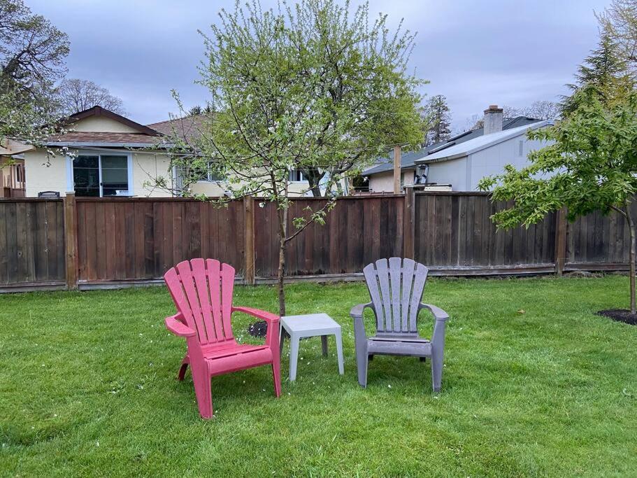 Adorable 2-bedroom guesthouse with free parking
