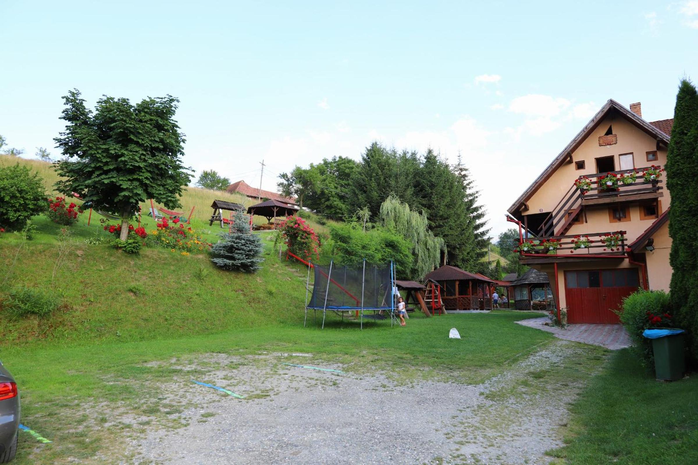 Photo 24