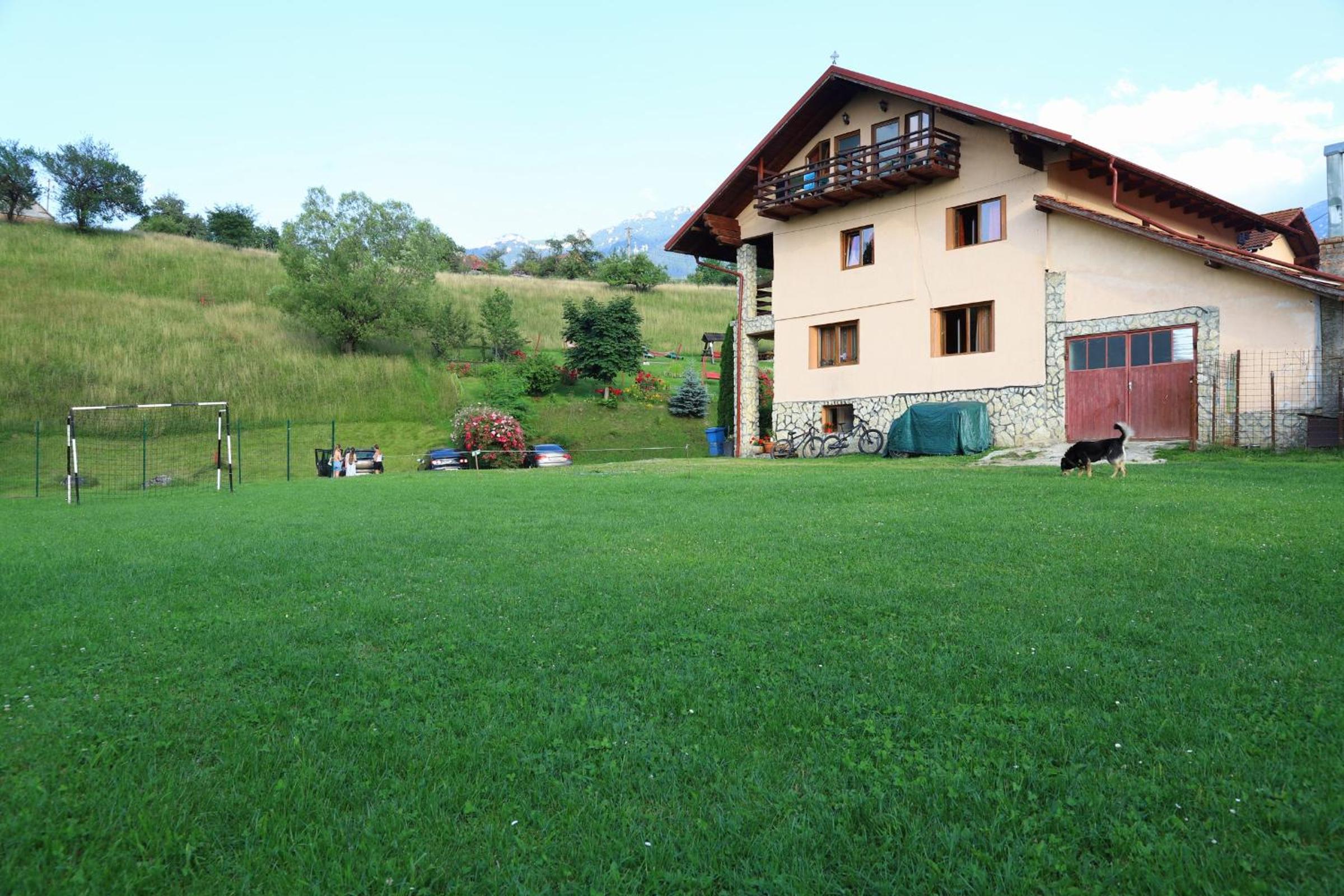 Photo 21