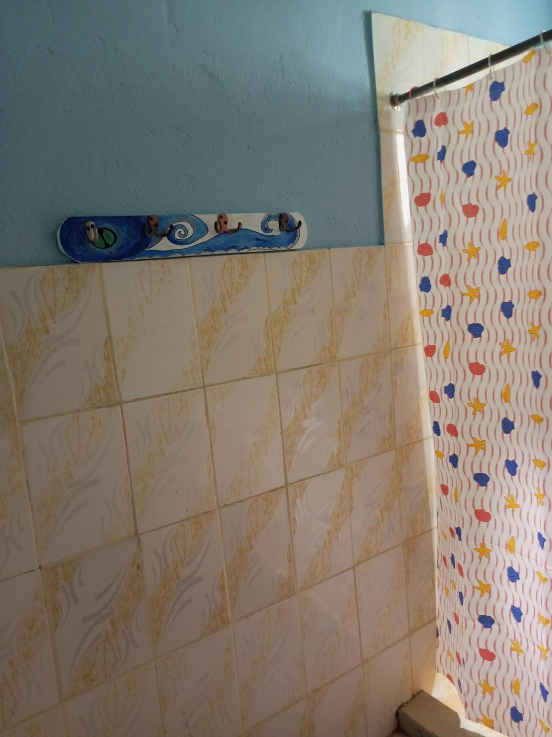 Surfari Bocas, photo 234