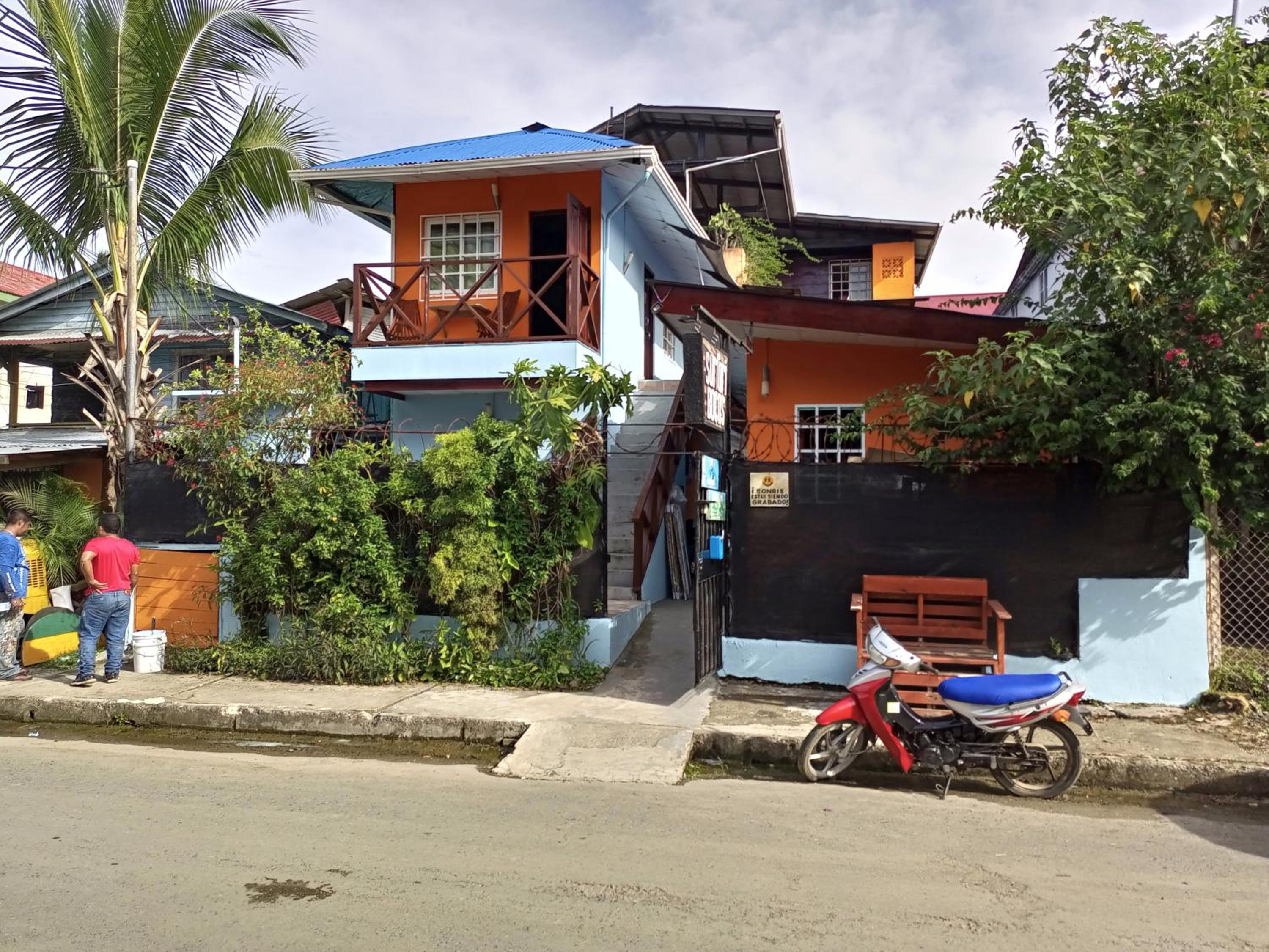 Surfari Bocas