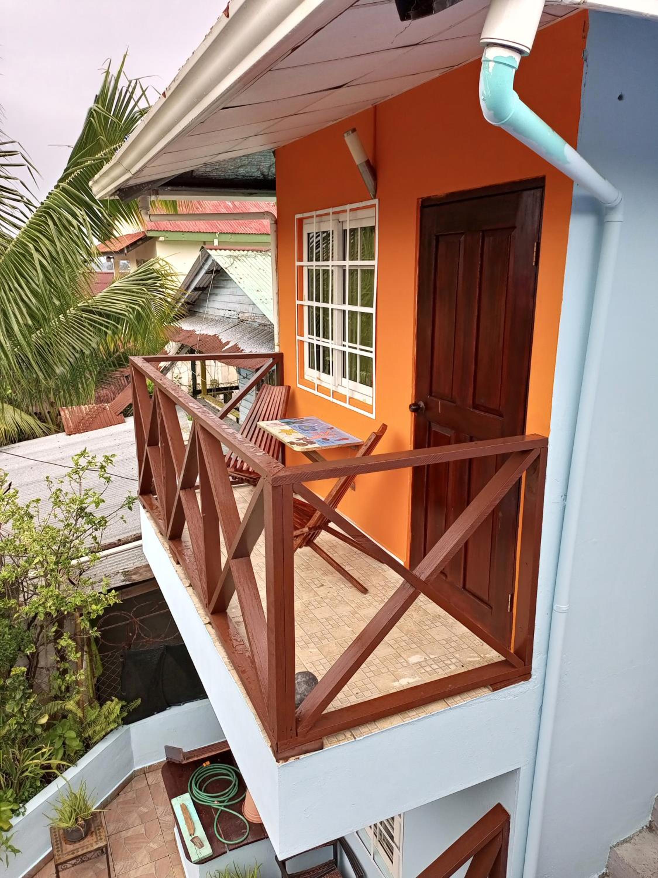 Surfari Bocas, photo 99