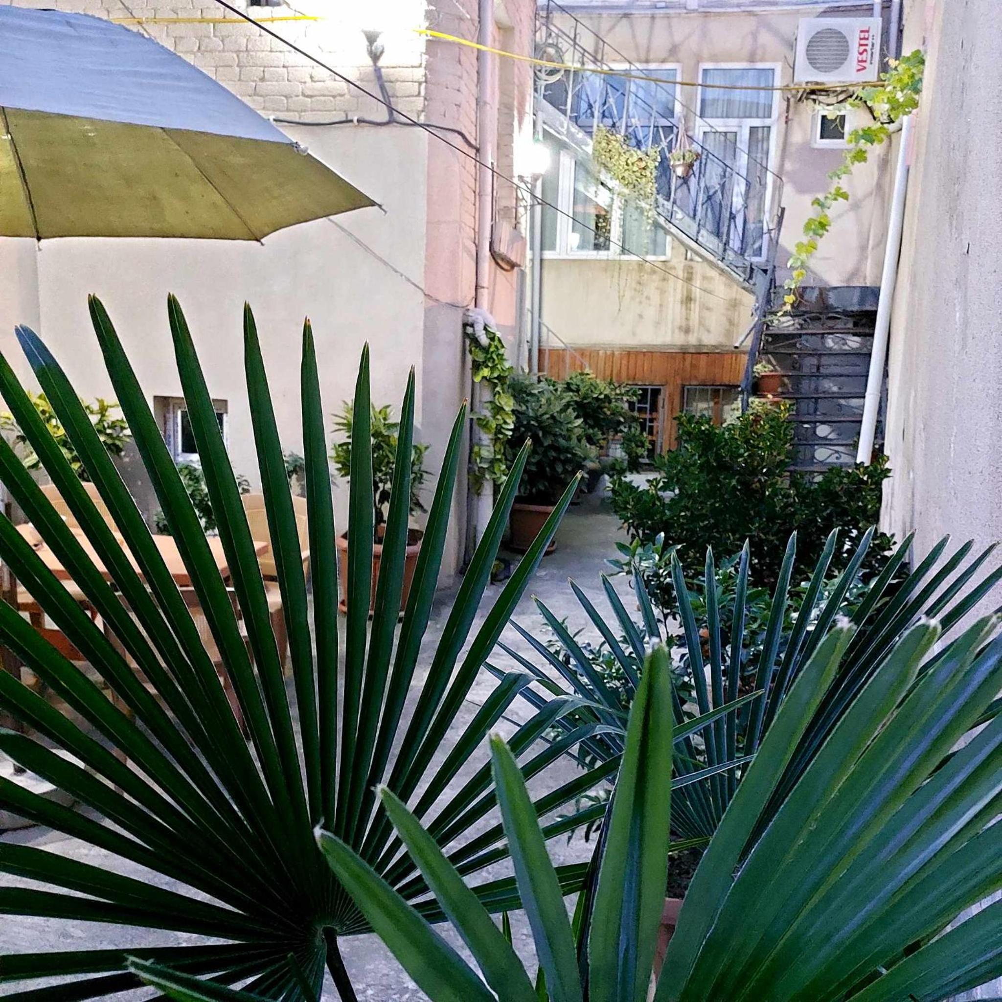Photo 14