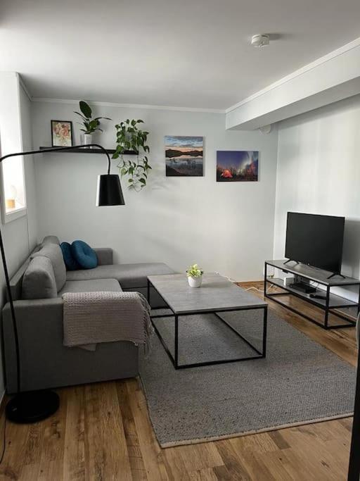 Cozy ground floor apartment view 5
