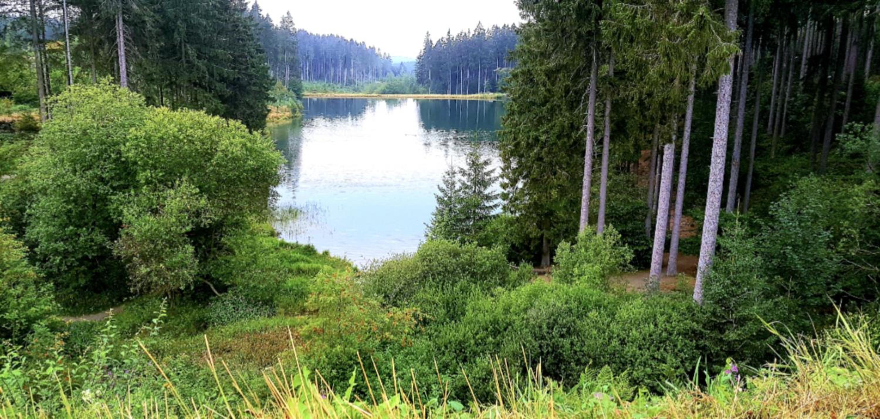 Kleine Freiheit Apartment am See