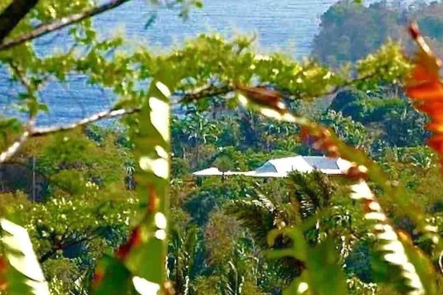 Parrot Estate Villa view 4