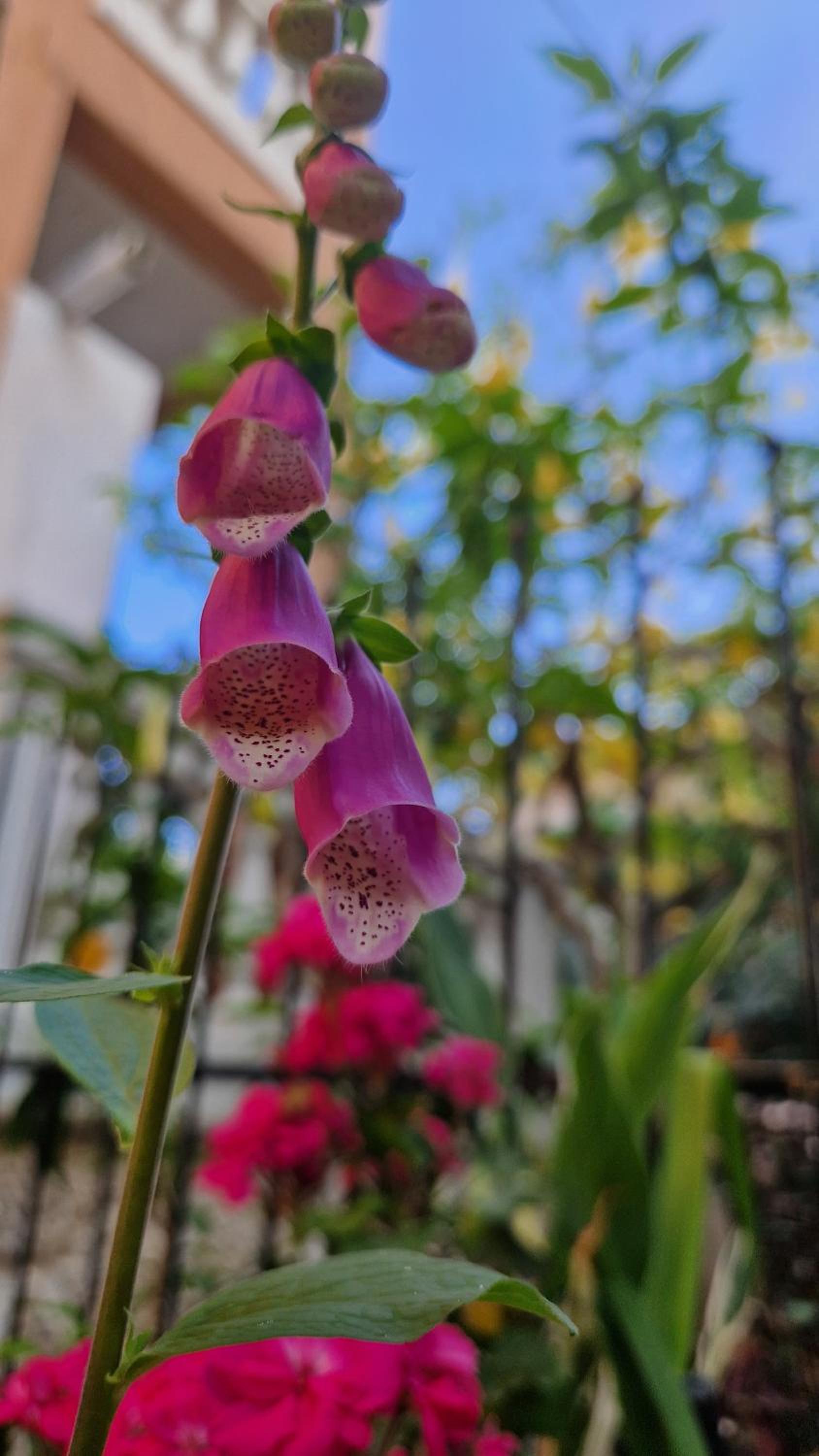 other