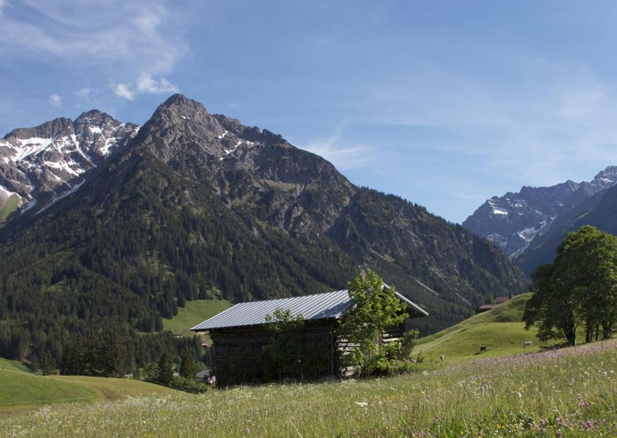Alpenpension Elferblick
