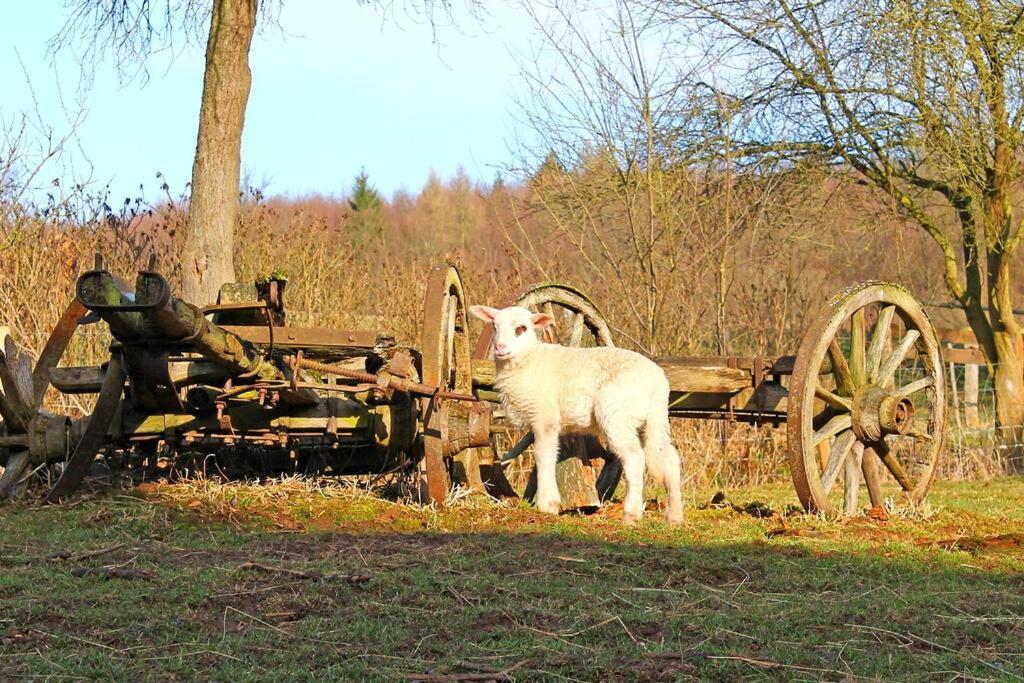 Historische romantische Mühle