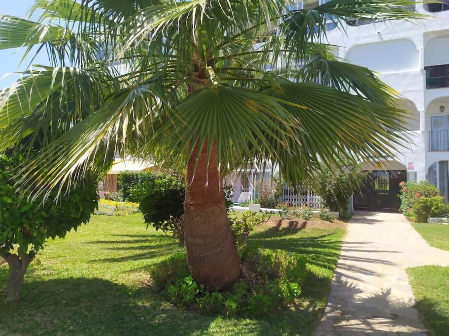 Coqueto apartamento en CalaHonda