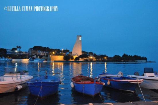 Photo 40