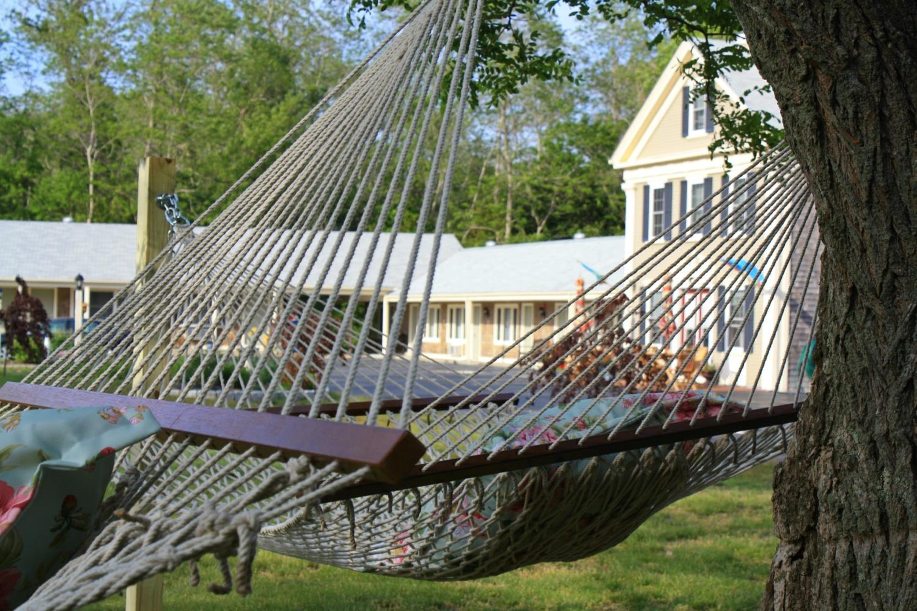 Eagle Wing Inn - Cape Cod