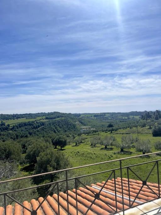 Sunrise View House Halkidiki! view 5