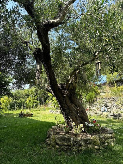 Photo 21