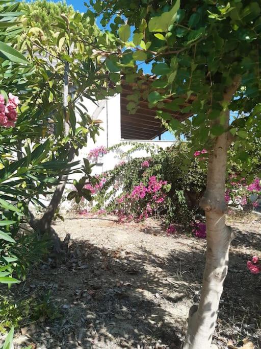 Saintfridays Gargarou beach, Charakopio, Koroni view 5