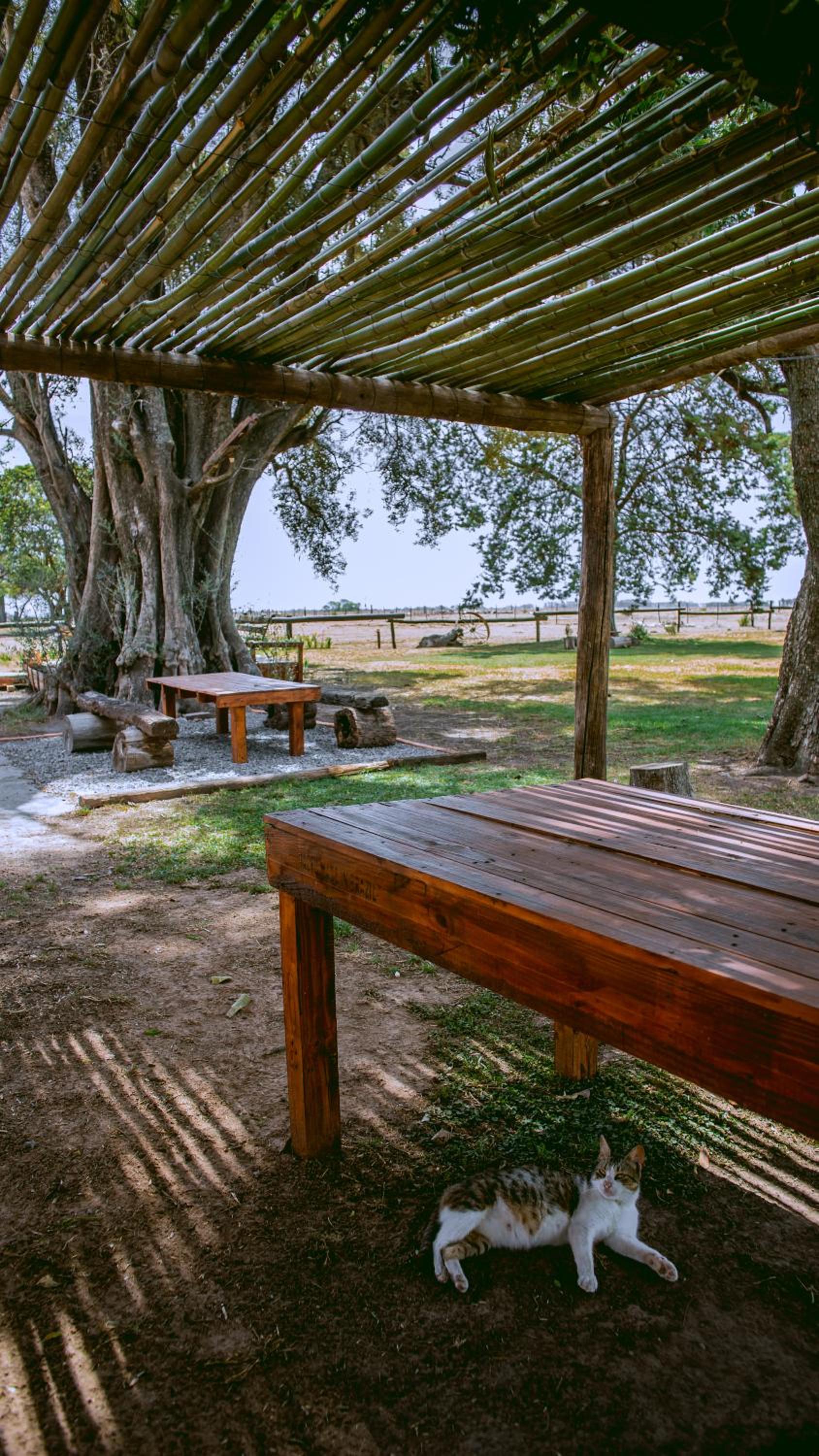 Inti, hospedaje de campo.